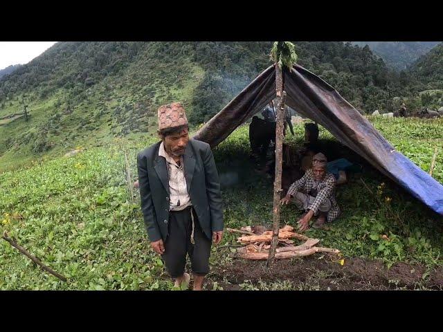 nomadic shepherd life of himalayan nepal || Bhim Yatri