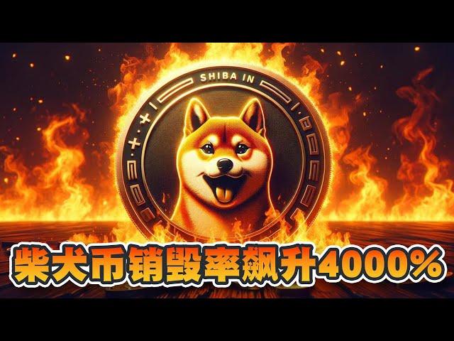 柴犬币销毁率飙升4000%！大大增加柴犬币稀缺性！SHIB将变得更有价值？柴犬币现货ETF有望推出？｜Cryptonews