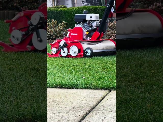 I've never seen this Karen before  #yardbrah #lawncare #yardbruh #trending