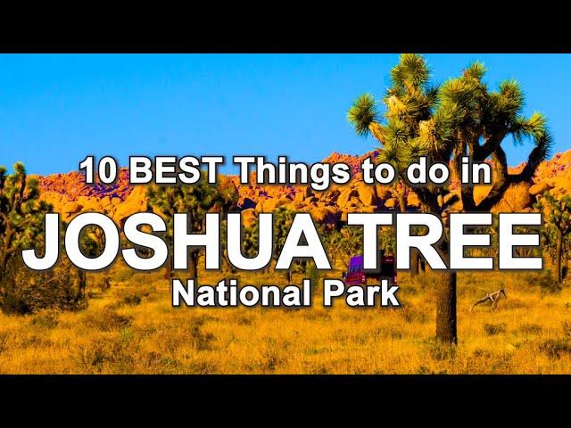 What to do in Joshua Tree National Park  California Travel Guide ️ Best Hikes and Places to see