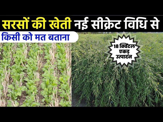 Sarson ki kheti | mustard farming 2022 | सरसों की खेती | sarson ki kheti kaise karen