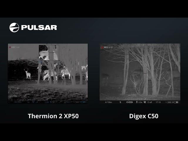 Pulsar Digex C50 vs Pulsar Thermion2XP50