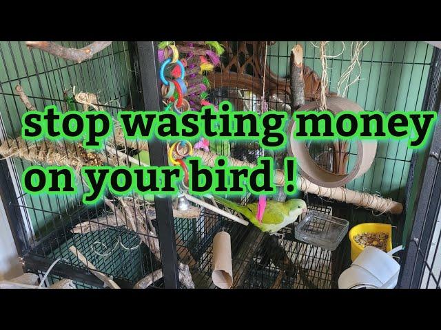 STOP wasting money on your bird |  diy bird  toys