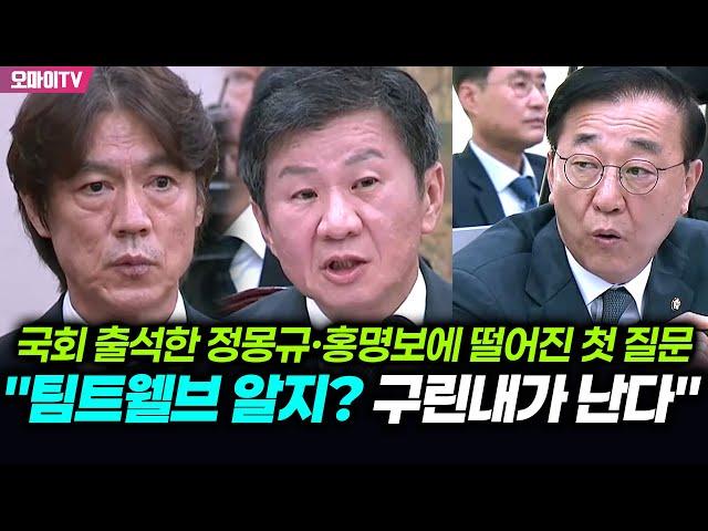 국회 출석한 정몽규·홍명보에 떨어진 첫 질문..."팀트웰브 알지? 구린내가 난다"