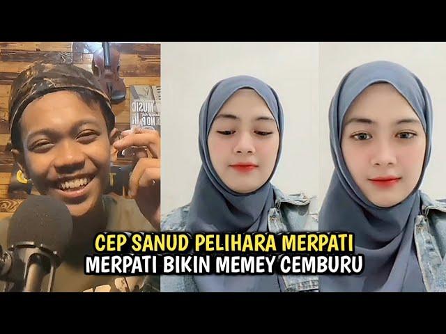 TEH MEMEH CEMBURU SAMA BURUNG MERPATI PELIHARAAN CEP SANUD