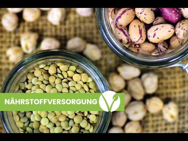 Perfekte Nährstoffversorgung bei veganer Ernährung