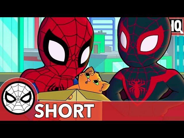 Spidey & Miles Aren't Kitten Around! | Marvel Super Hero Adventures - That Drone Cat | SHORT