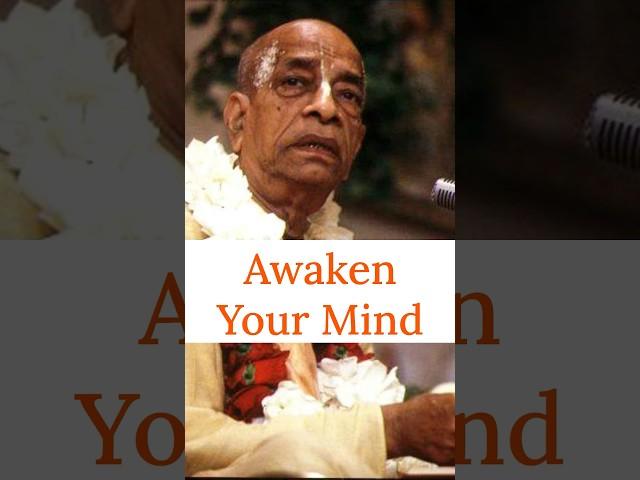 Awaken Your Mind | Prabhupada Shorts Lectures Bhagavatam Gita #prabhupadavani