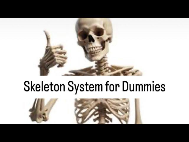 The Human Skeletal System. Take a closer look at the skeletal system.