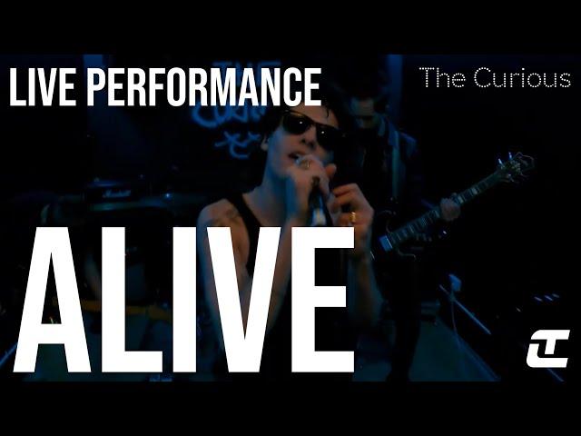 The Curious - Alive (Live Performance)