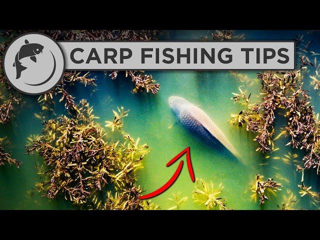 How To Catch MORE Carp This Spring - Carp Fishing Advice