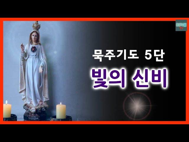 [5th stage of the Rosary] Mystery of Light (No background music)