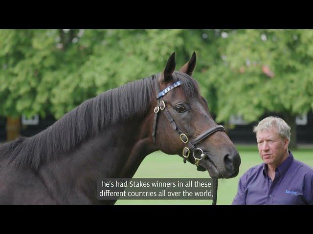 Be A Part Of It: Breeding in Britain Episode 4 - Watership Down Stud