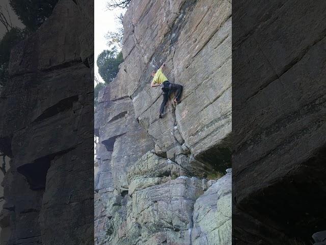 Hybrid, Seglora, 7C