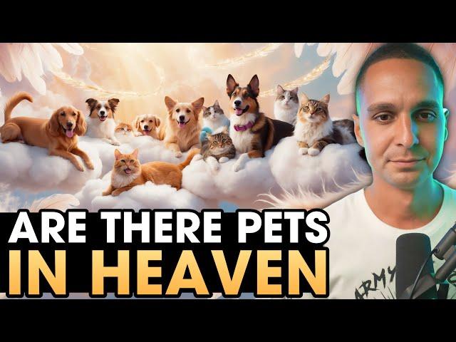 Do Pets Go To Heaven? How to Forgive Yourself? - Ask Me Anything