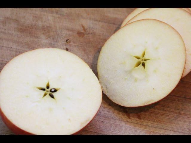 Farmtastic Agventures -- Apples! - Fall 2015