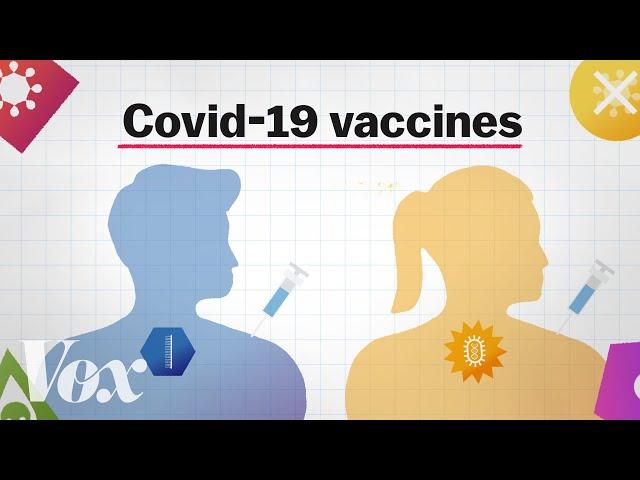 mRNA vaccines, explained