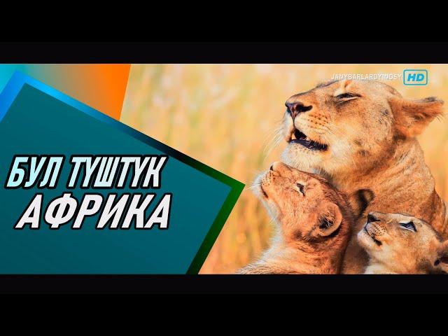 "ТҮШТҮК АФРИКА" ЖАНЫБАРЛАР ДҮЙНӨСҮ