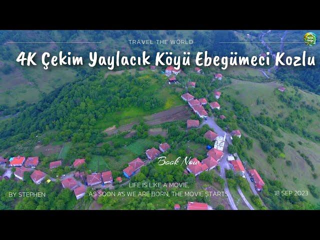 4K Çekim Yaylacık Köyü Ebegümeci Kozlu