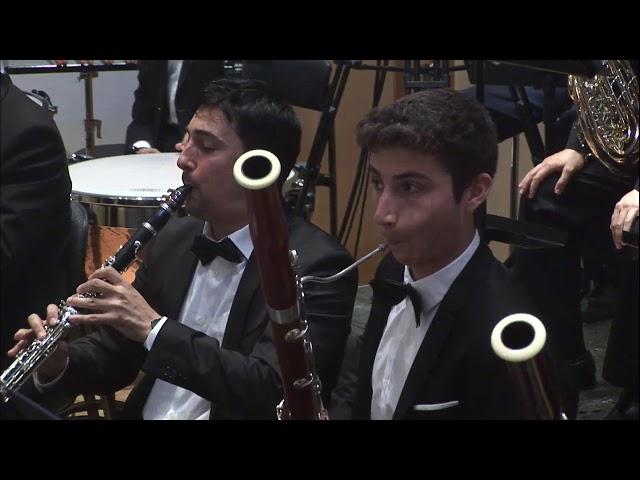 Johannes Brahms - Symphony No. 4 in e minor op.98 - 1st movement - Gedshold (2018)