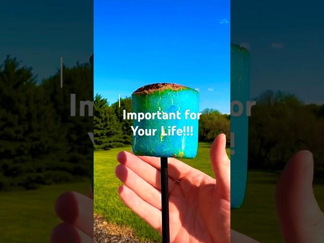 Survival Knowledge: One Day It Could Save Your Life!