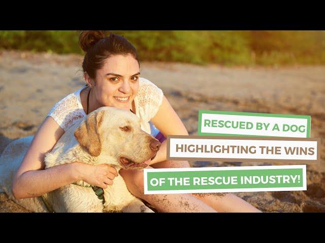Rescued by a Dog (Bringing The Best In The Rescue Industry)