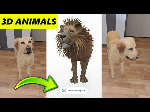 How to Use Google 3D Animals | View in your Own Space