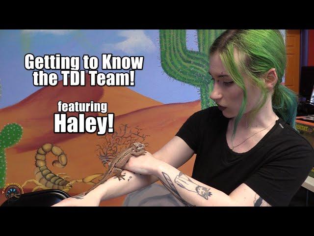 Getting to Know the TDI Team! -- featuring Haley! 