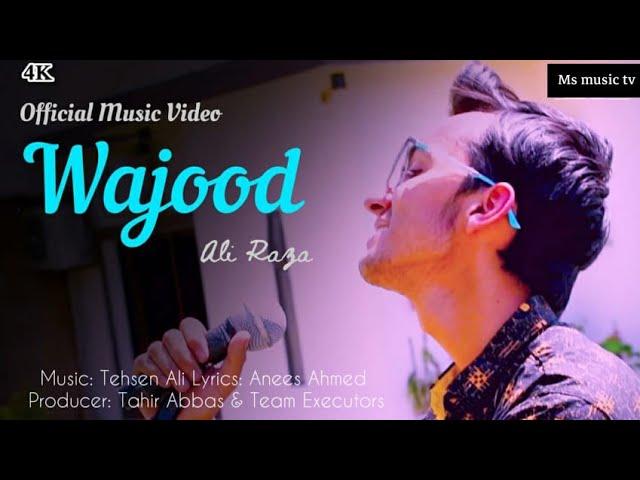 Wajood | Ali Raza (Official Music Video) | MS Music TV