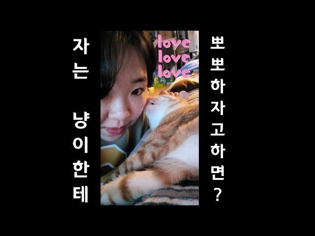 [고양이뽀뽀] 뽀뽀해달라고 조르는 집사 | 모해는 뽀뽀를 좋아ㅎF  #shorts