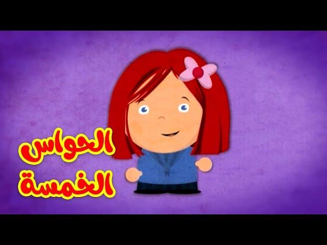 الحواس الخمسة - قناة بيبي الفضائية | Toyor Baby Channel