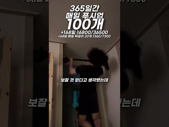 매일 푸시업 100개 +168 16800/36500