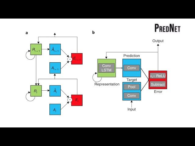 A neural network trained for prediction mimics diverse features of biological neurons and perception
