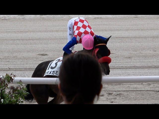 【競馬】【事件】なかなかの気性難 ネオメガミに振り落とされて負傷で乗り代わりになる藤田凌