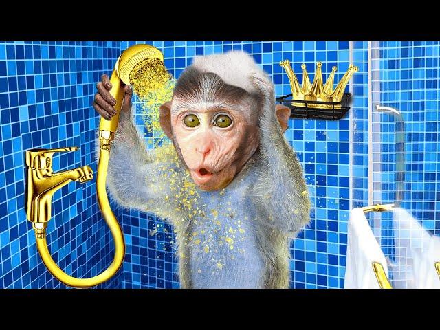 Chu Chu baby monkey eats rainbow ice cream with puppies and swims with ducklings in the garden