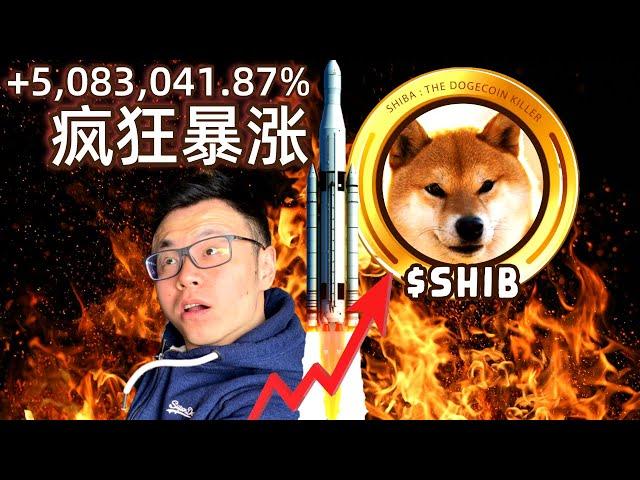 疯狂上涨50万倍！火爆全球的SHIB柴犬币背后的惊人秘密。小投入，大回报！错过了比特币，还要再错过这样的好机会吗？