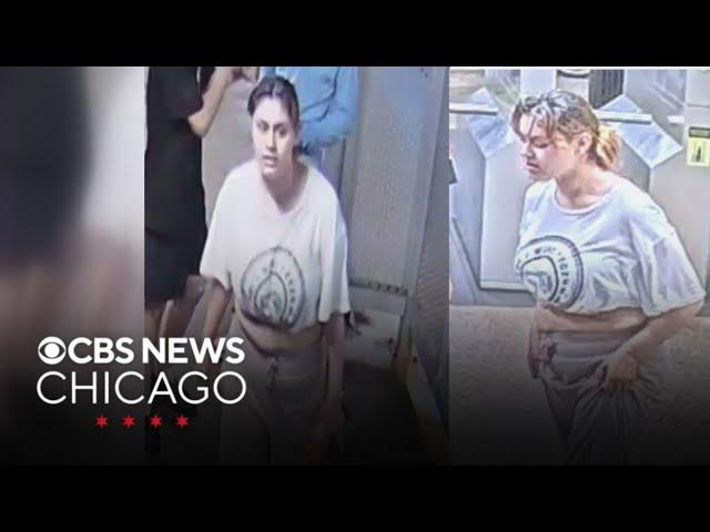 Suspect sought in violent Chicago train robbery of passenger