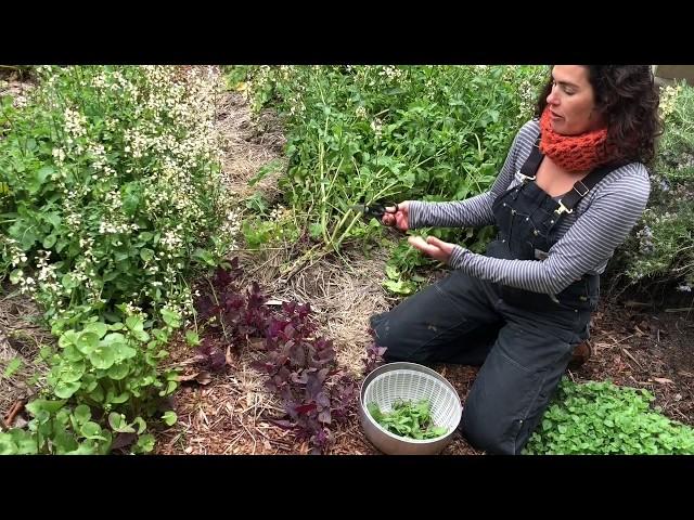 How to make salad without lettuce