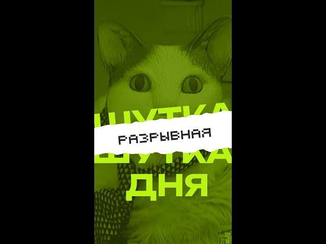  С конкурентами наших клиентов мы беспощадны #конкуренция #digitalагентство #интернетмаркетинг