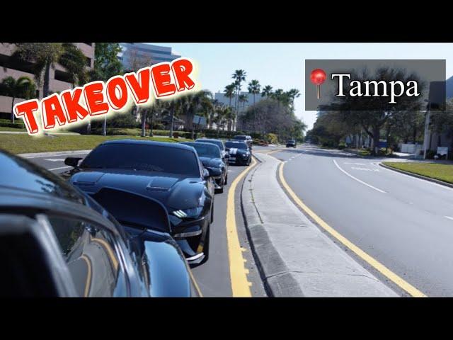 8 LOUD MUSTANGS TAKE OVER CITY OF TAMPA