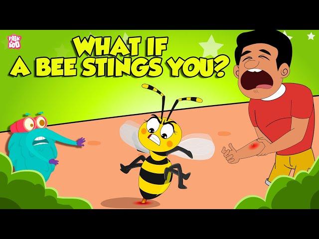 What if a Bee Stings You? | How To Treat A Bee Sting? | Honey Bee Attack | The Dr. Binocs Show