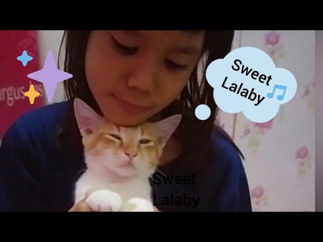 Orange Kitten Lalaby by Cute Lil Girl