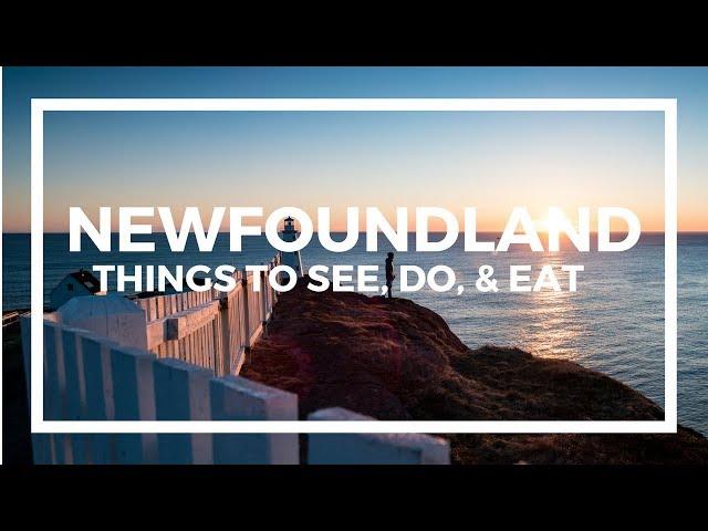 Newfoundland Travel Guide - Top Things To See, Do, & Eat