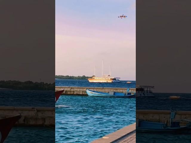 LIVEABOARD VESSEL #liveaboardlife #vessel #maldives #enjoy #ship
