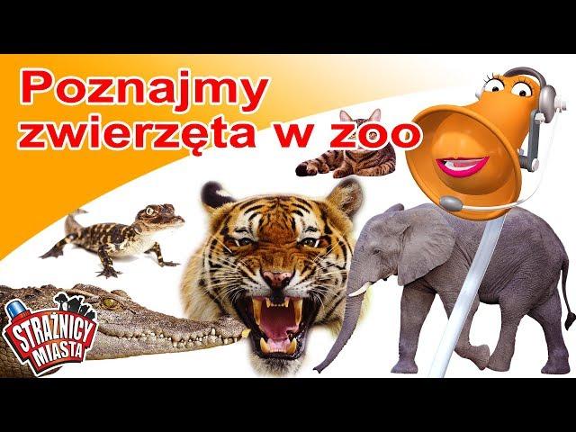 Strażnicy Miasta - Poznajmy zwierzęta w zoo