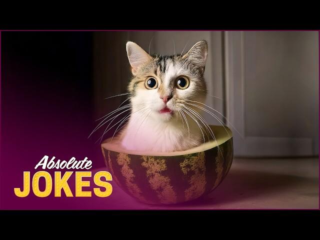 Funniest Animals  +2 Hours of New Funny Pets and Fails Videos 