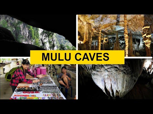 Mulu Caves Sarawak - exploring Lang, Dear, Wimd, Clearwater Cave & watch the bats' exodus