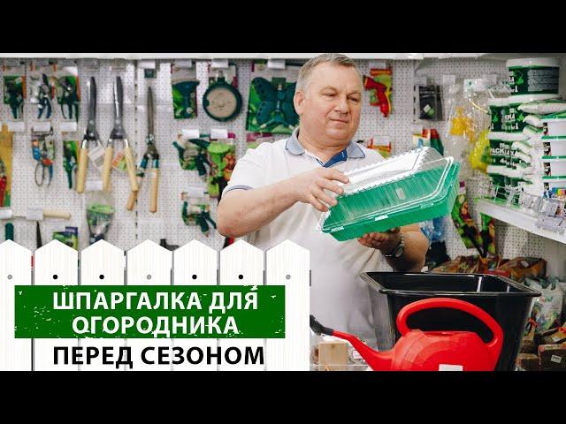 Выращивание рассады в домашних условиях. Что вам потребуется?