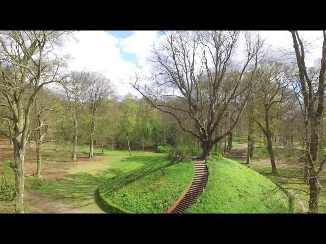 Heilooërbos in vogel vlucht