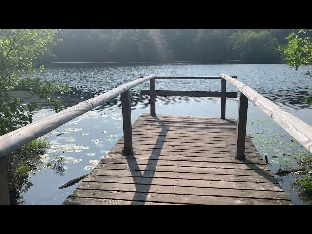 Wanderung zum Schwarzen See / ️ Insel Rügen 